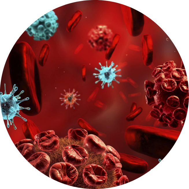 CIAMM Centre International Danalyses Medicales A Marrakech Auto Immunite CIAMM Centre International Danalyses Medicales A Marrakech Auto Immunite