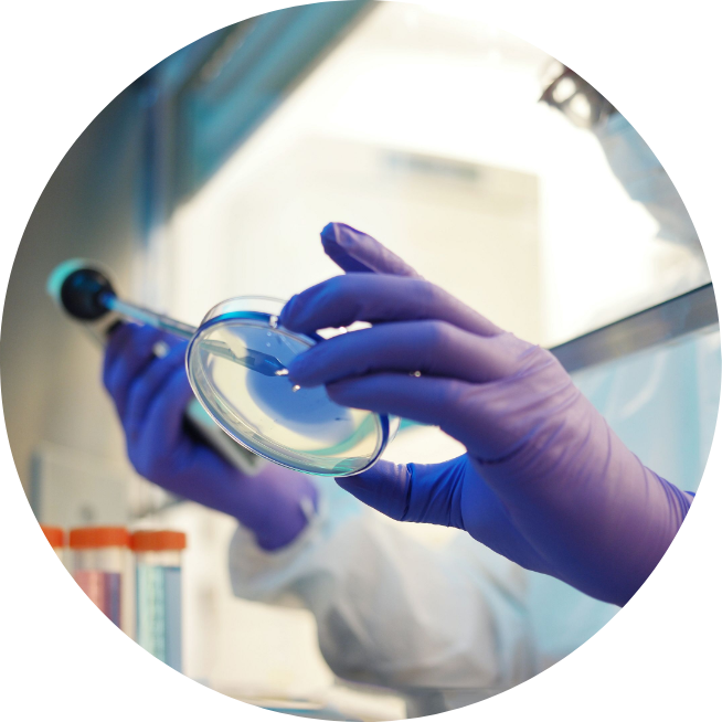 CIAMM Centre International Danalyses Medicales A Marrakech Microbiologie CIAMM Centre International Danalyses Medicales A Marrakech Microbiologie